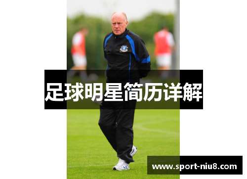 足球明星简历详解