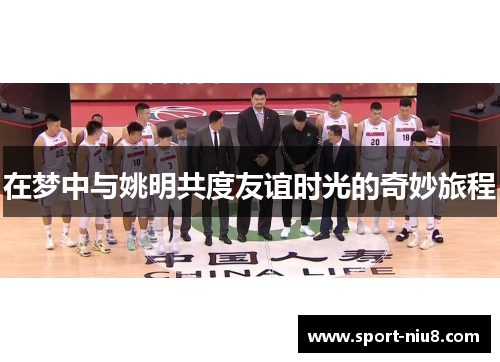 在梦中与姚明共度友谊时光的奇妙旅程